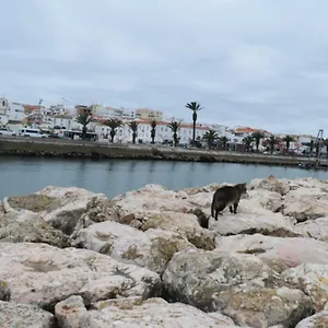 https://beachcity-guesthouse.hotelaalgarve.com