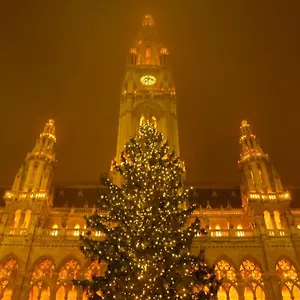 Vienna Home Appartamento